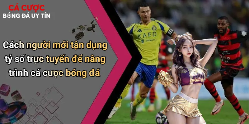 Cách người mới tận dụng tỷ số trực tuyến để nâng trình cá cược bóng đá