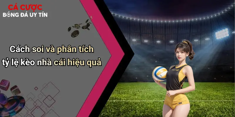Cách soi và phân tích tỷ lệ kèo nhà cái hiệu quả