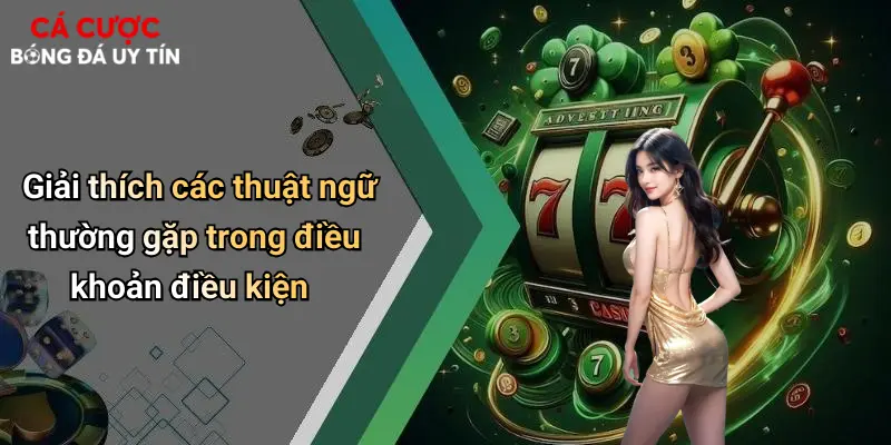 Giải thích các thuật ngữ thường gặp trong điều khoản điều kiện