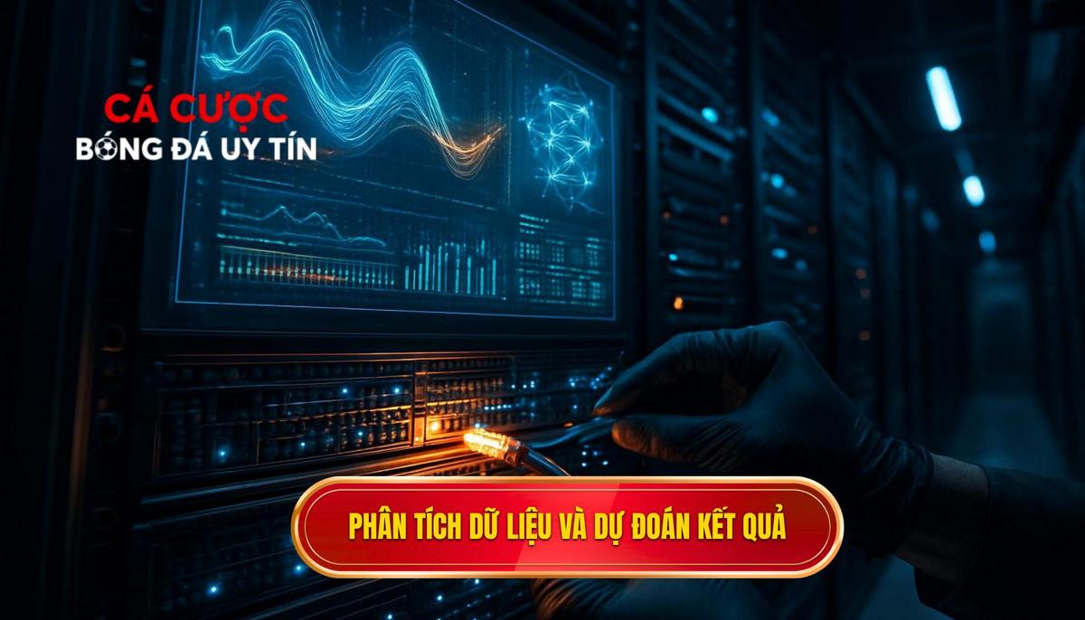 Phân tích dữ liệu và soi kèo chuyên sâu