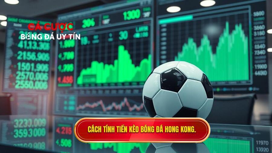 Cách tính tiền trong Kèo bóng đá Hong Kong chi tiết nhất